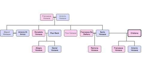 gianni versace familie|gianni versace family tree.